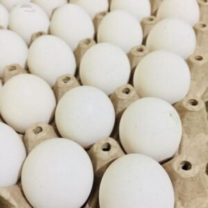 HUEVOS BLANCOS EXTRA 30 UND